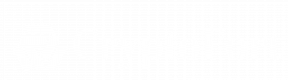 White logo - no background